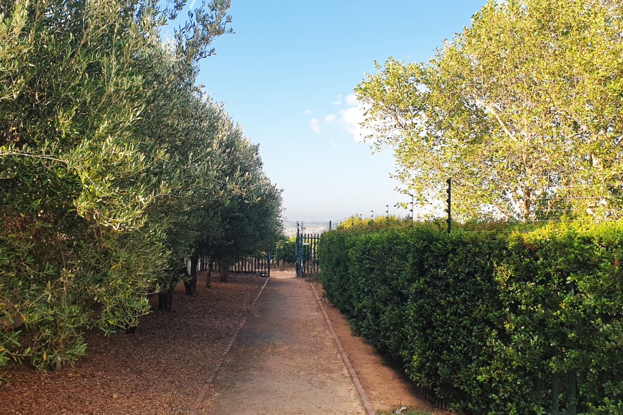 0 Bedroom Property for Sale in Paradyskloof Western Cape